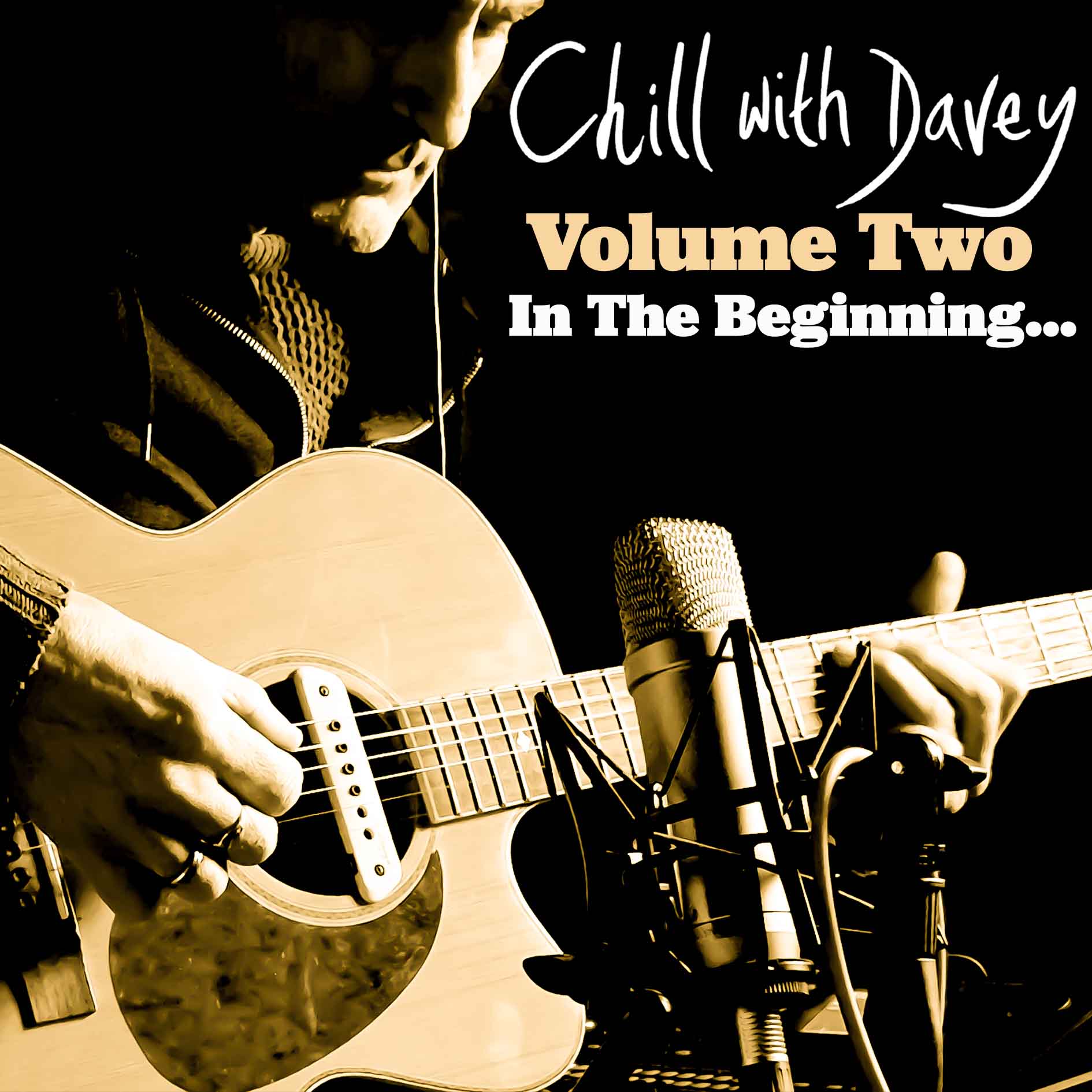 Volume Two digital download - Image 1
